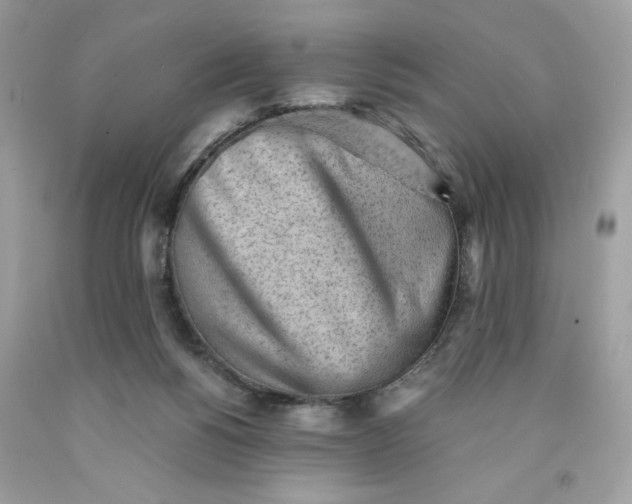 X0000091570168200709101004