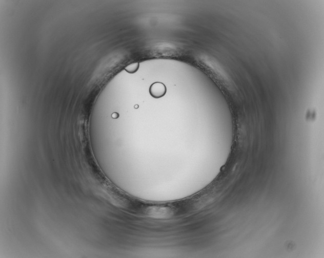 X0000091570169200709101004