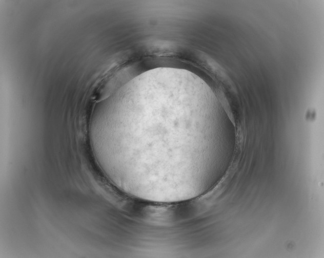 X0000091570170200709101004