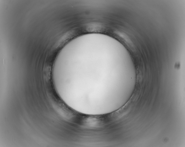 X0000091570171200709101004