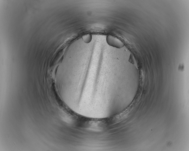 X0000091570172200709101004