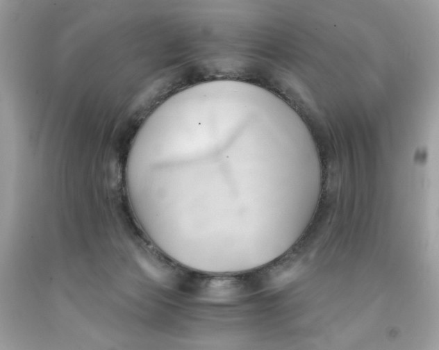 X0000091570173200709101004