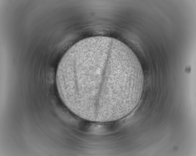 X0000091570174200709101004