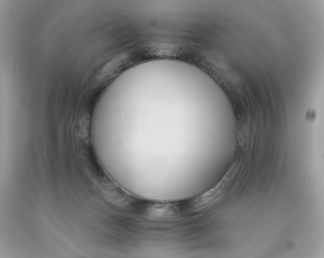 X0000091570175200709101004