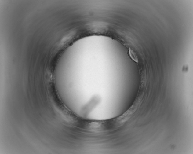 X0000091570176200709101004