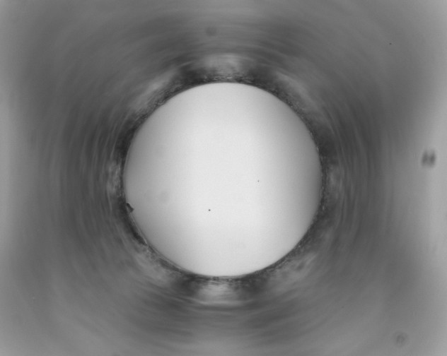 X0000091570177200709101004