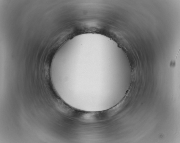 X0000091570178200709101004