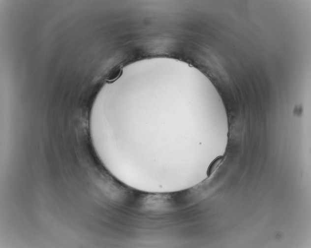 X0000091570179200709101004