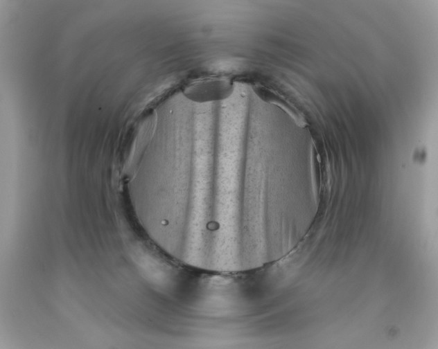 X0000091570180200709101004