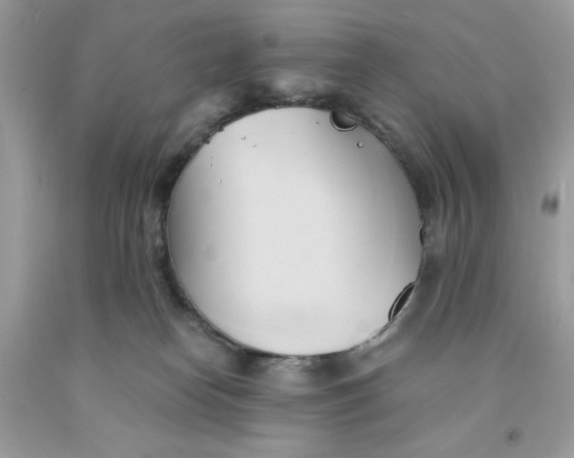 X0000091570182200709101004