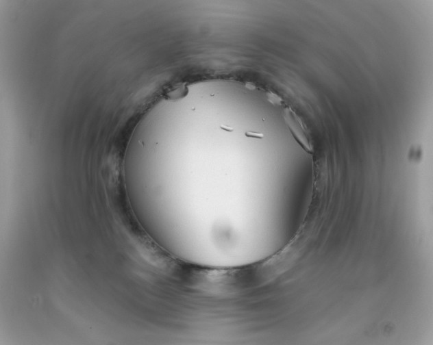 X0000091570184200709101004