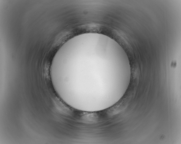 X0000091570185200709101004