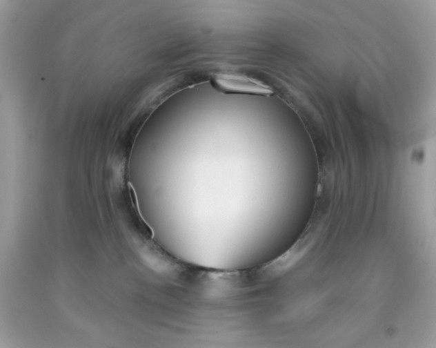 X0000091570188200709101005