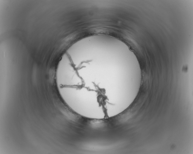 X0000091570189200709101005