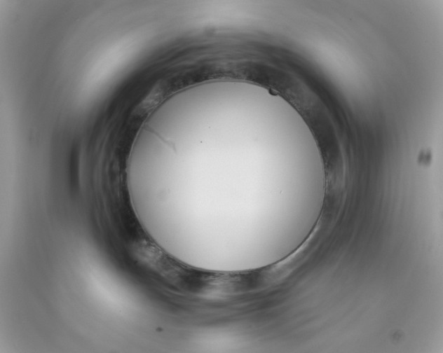 X0000091570191200709101005