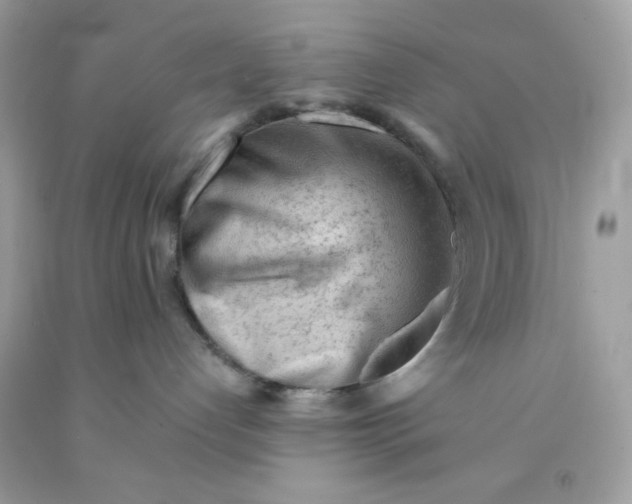 X0000091570192200709101005