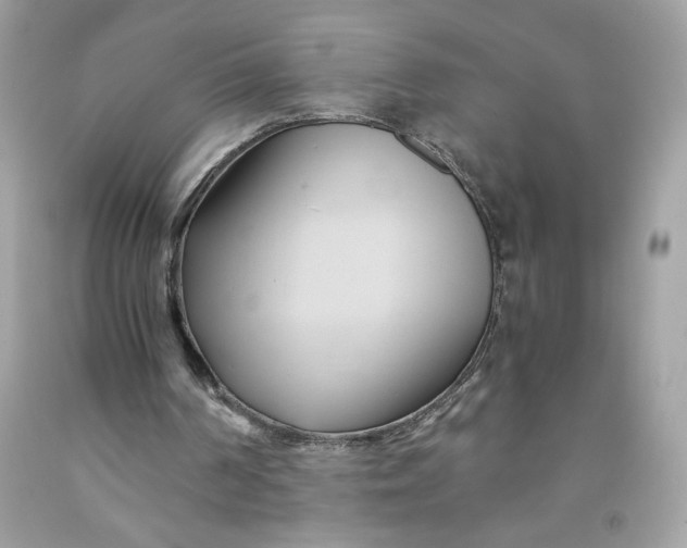 X0000091570194200709101004