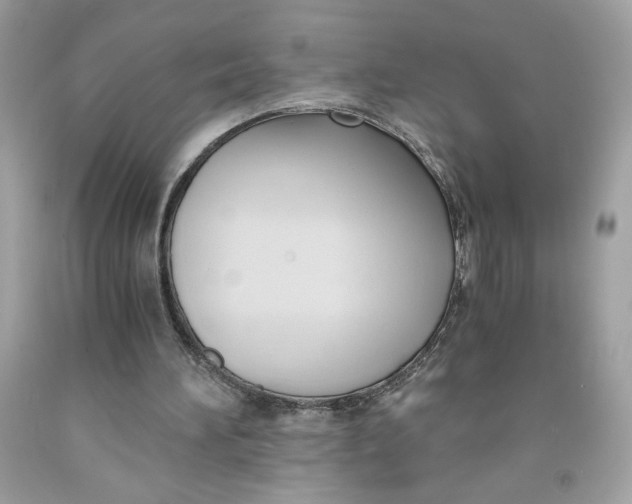 X0000091570196200709101004