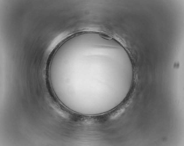 X0000091570199200709101004