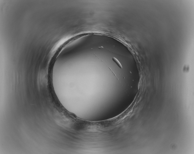 X0000091570200200709101004