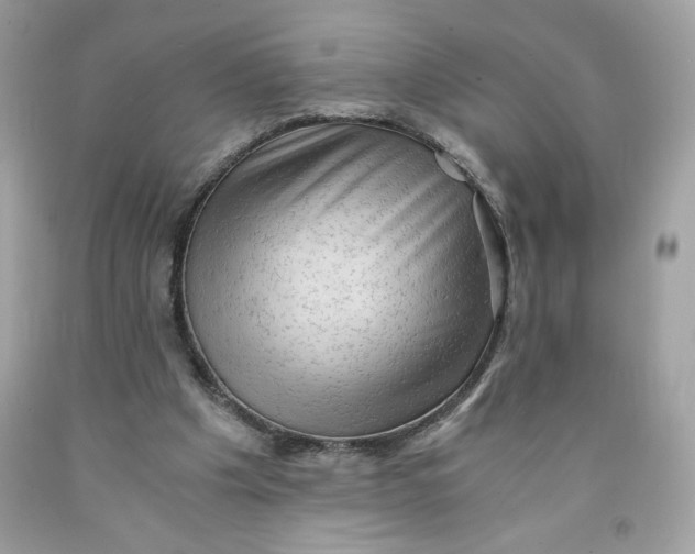 X0000091570201200709101004