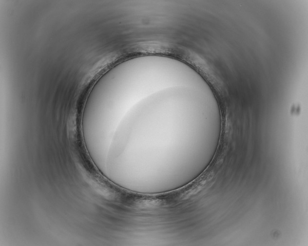 X0000091570202200709101004