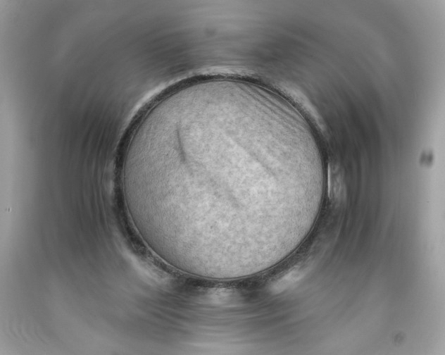 X0000091570204200709101004