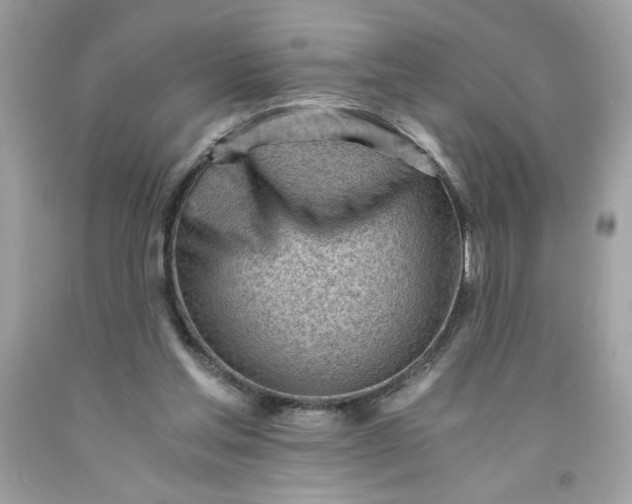 X0000091570205200709101004