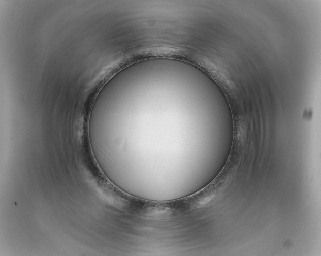 X0000091570206200709101004