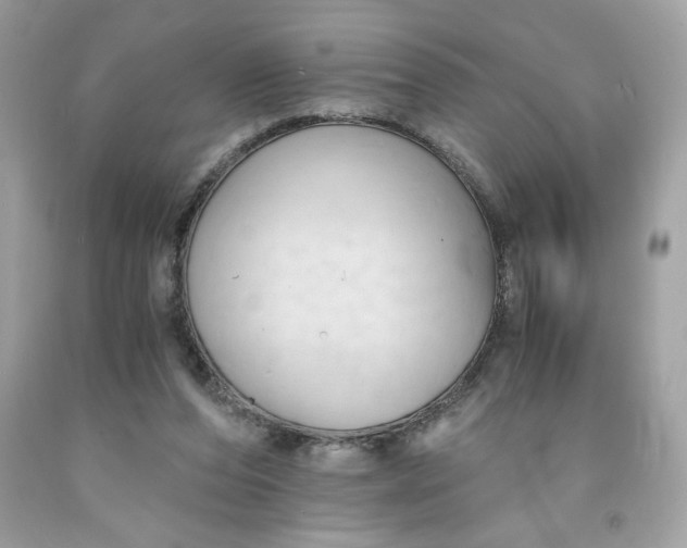 X0000091570208200709101004