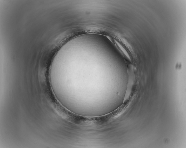 X0000091570209200709101004