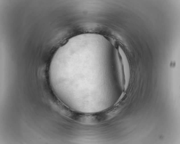 X0000091570217200709101004