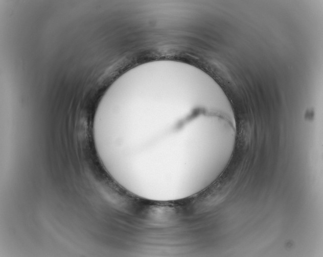 X0000091570220200709101004