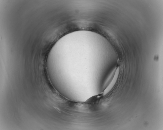 X0000091570221200709101003