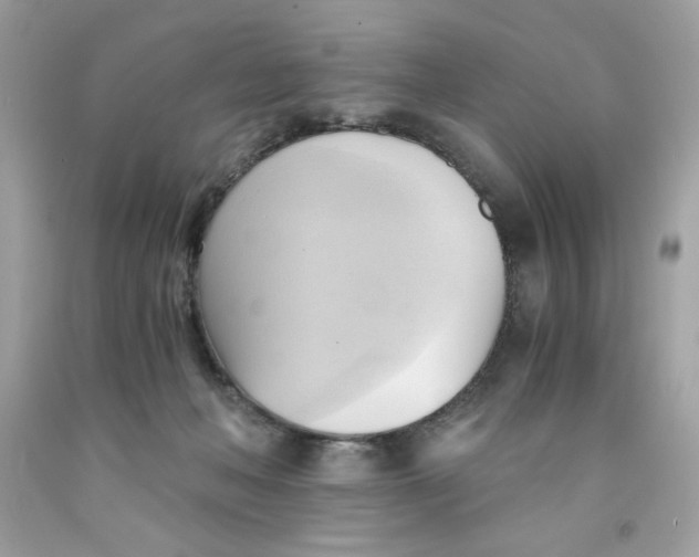 X0000091570222200709101003