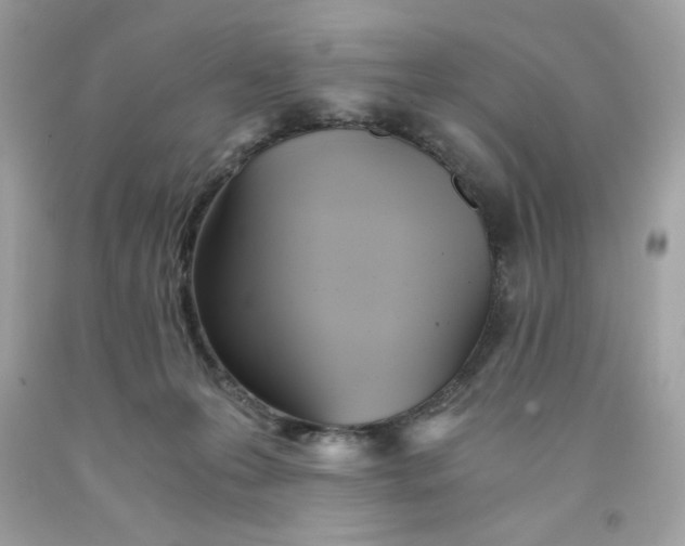 X0000091570223200709101003