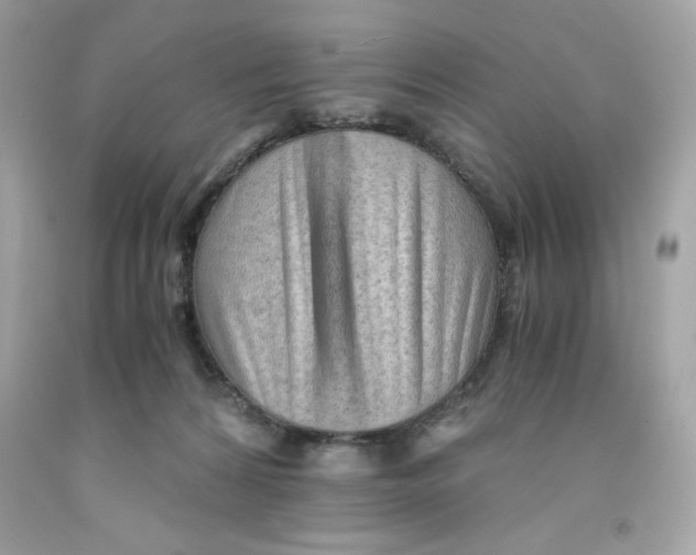 X0000091570224200709101003