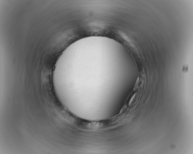 X0000091570225200709101003