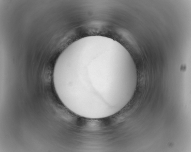 X0000091570226200709101003