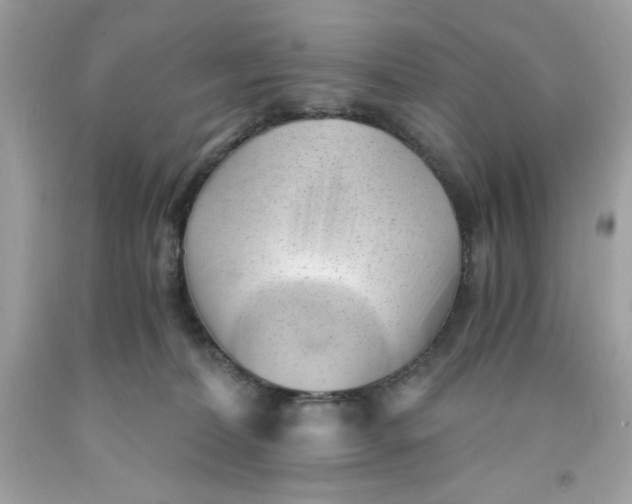 X0000091570228200709101003