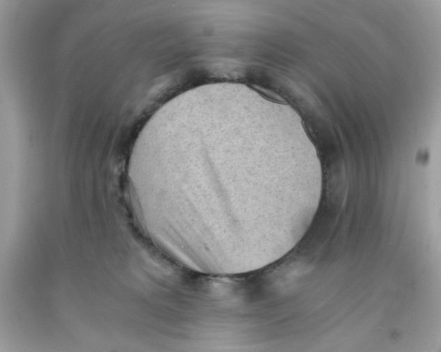 X0000091570229200709101003