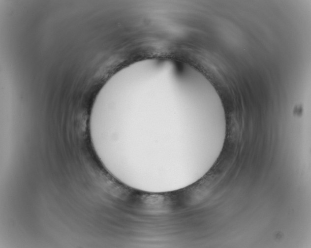 X0000091570230200709101003