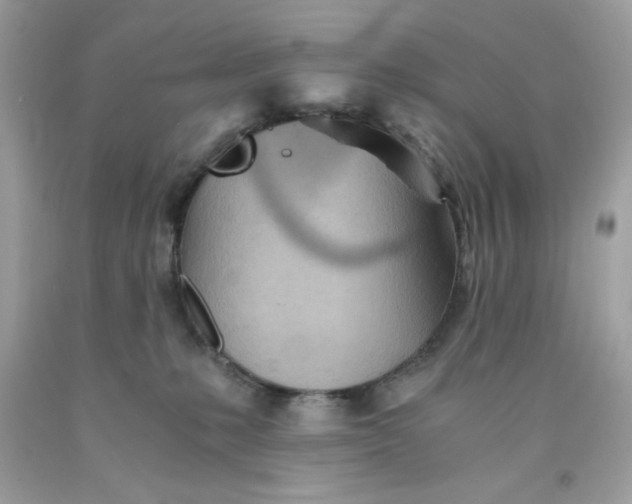 X0000091570231200709101003