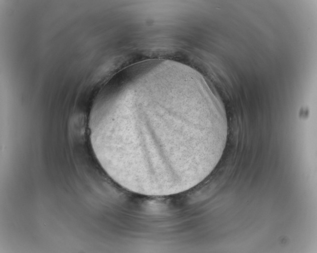 X0000091570232200709101003