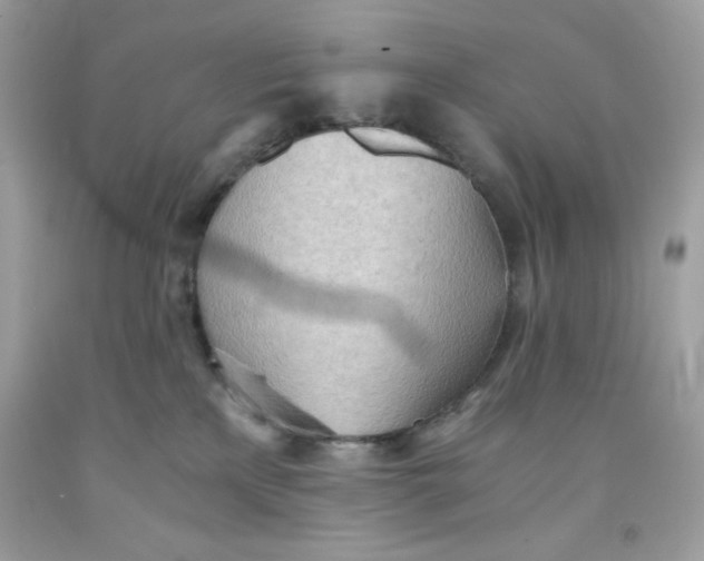 X0000091570233200709101003