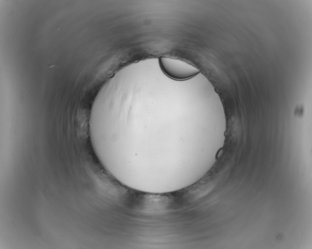 X0000091570234200709101003