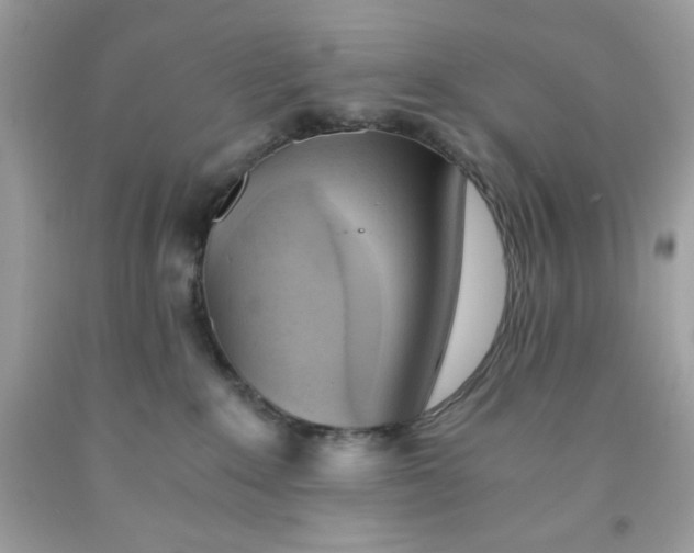 X0000091570235200709101003