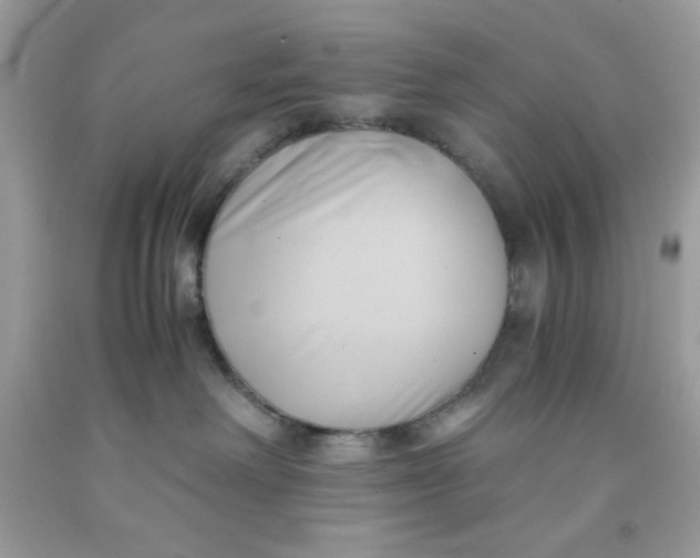 X0000091570238200709101003