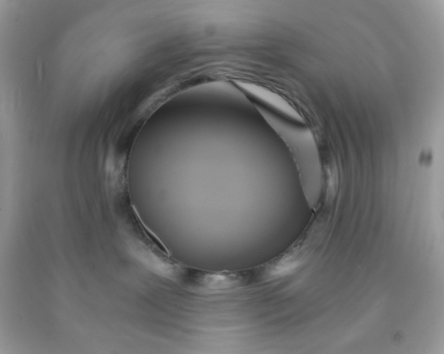 X0000091570239200709101003