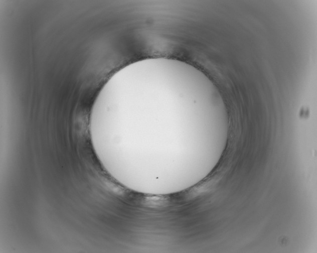 X0000091570240200709101003